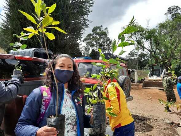 Mujer con árbol para la siembra