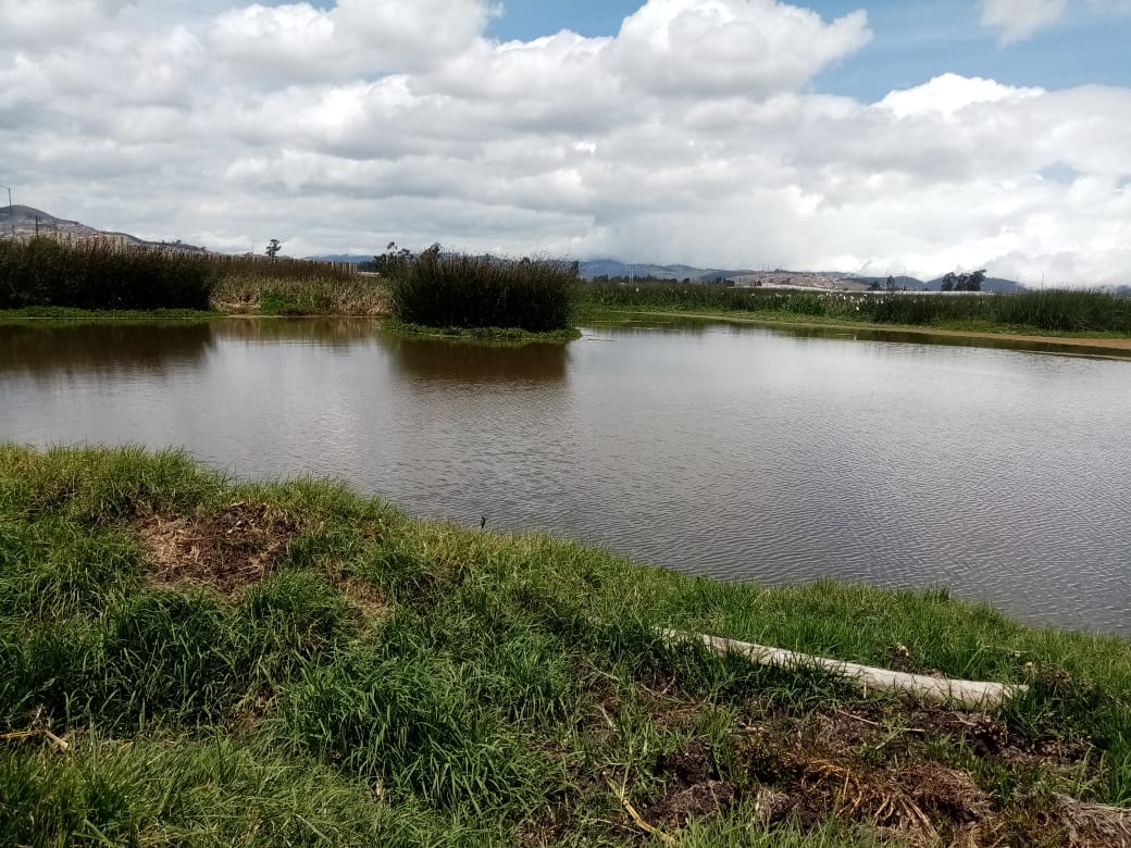 Humedal Tibanica ubicado en la localidad de Bosa.