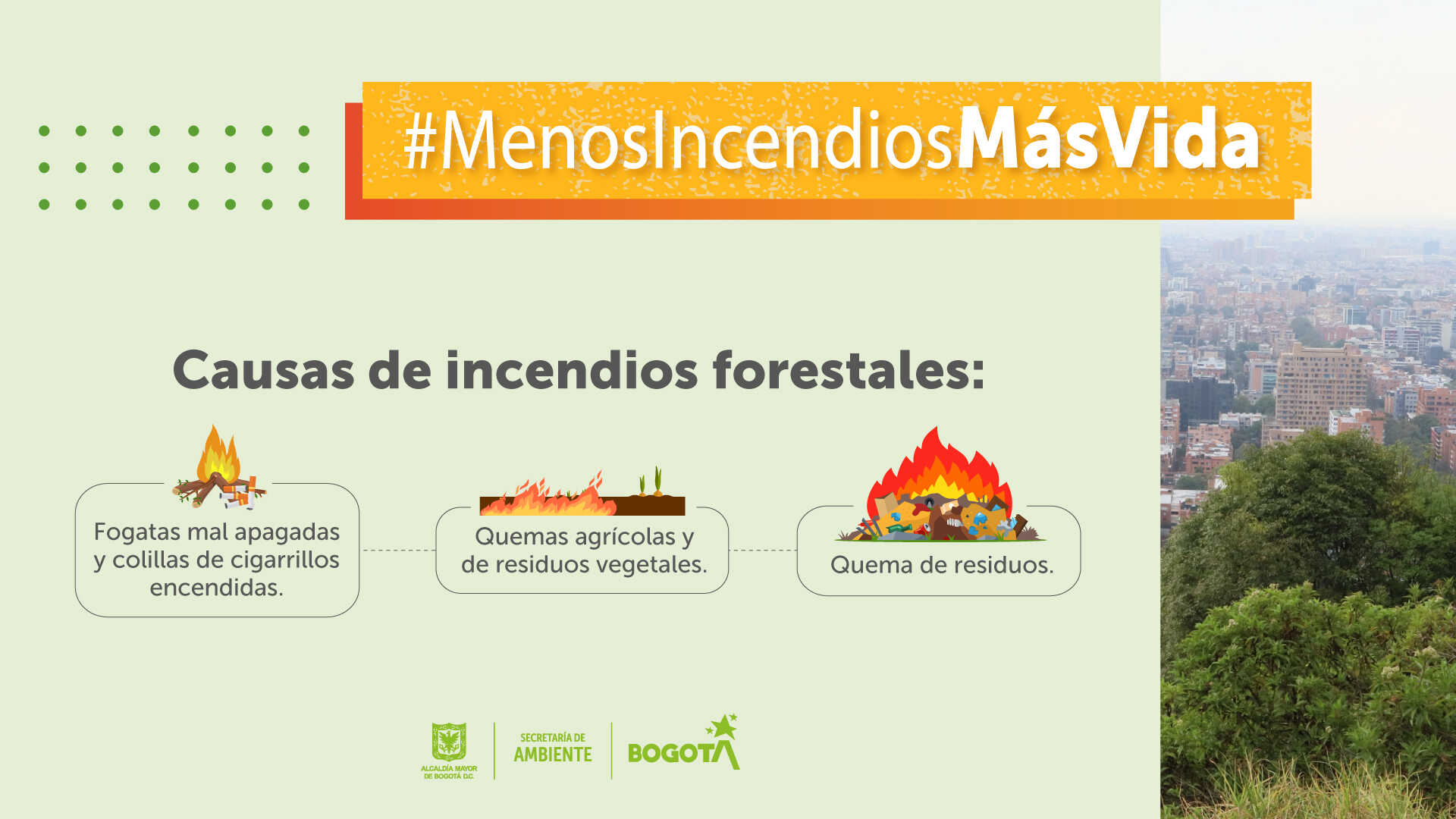 Gráfico, información de las causas de los incendios forestales