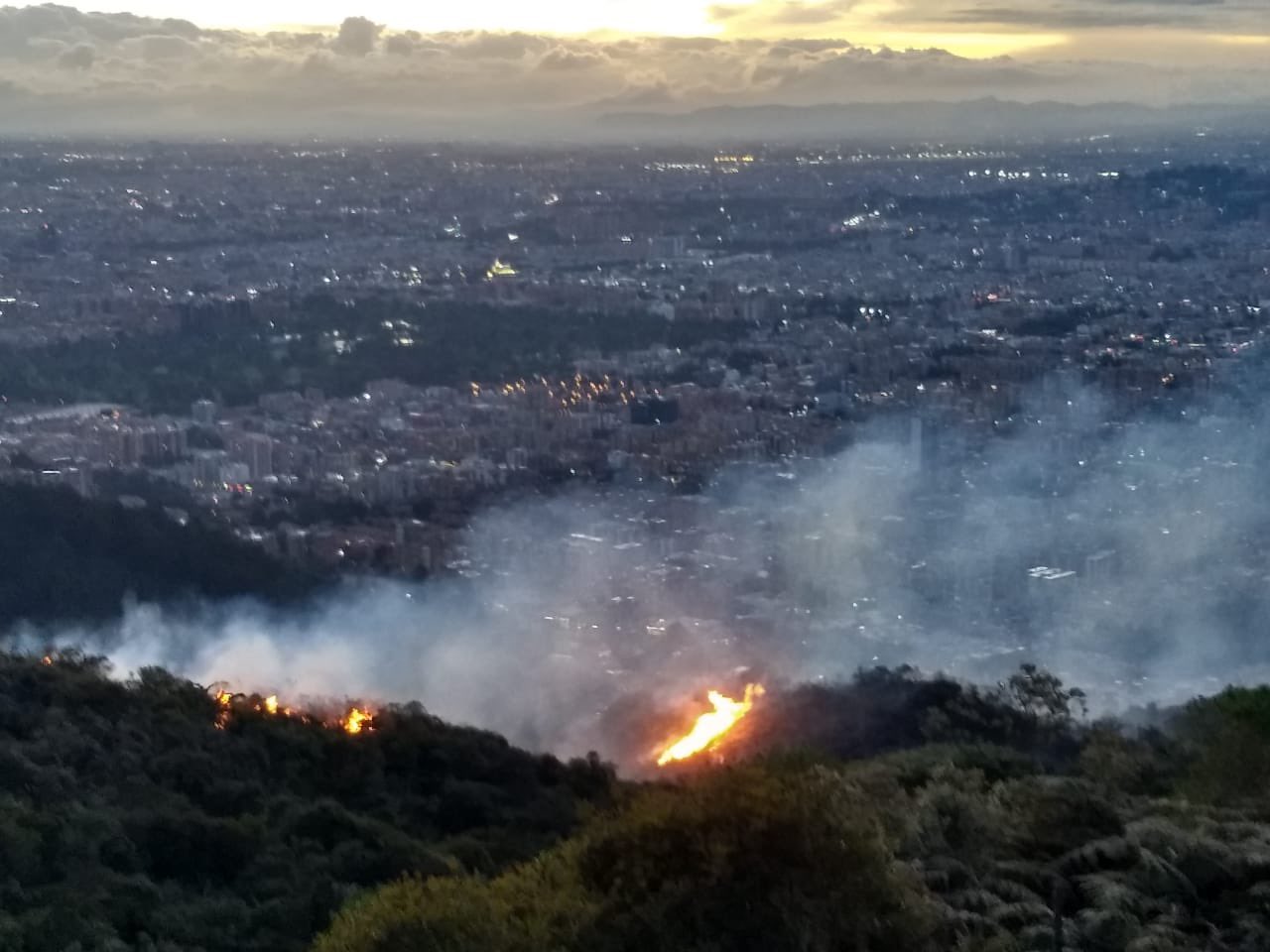 Incendio forestal en ecosistema