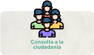 Consulta ciudadana