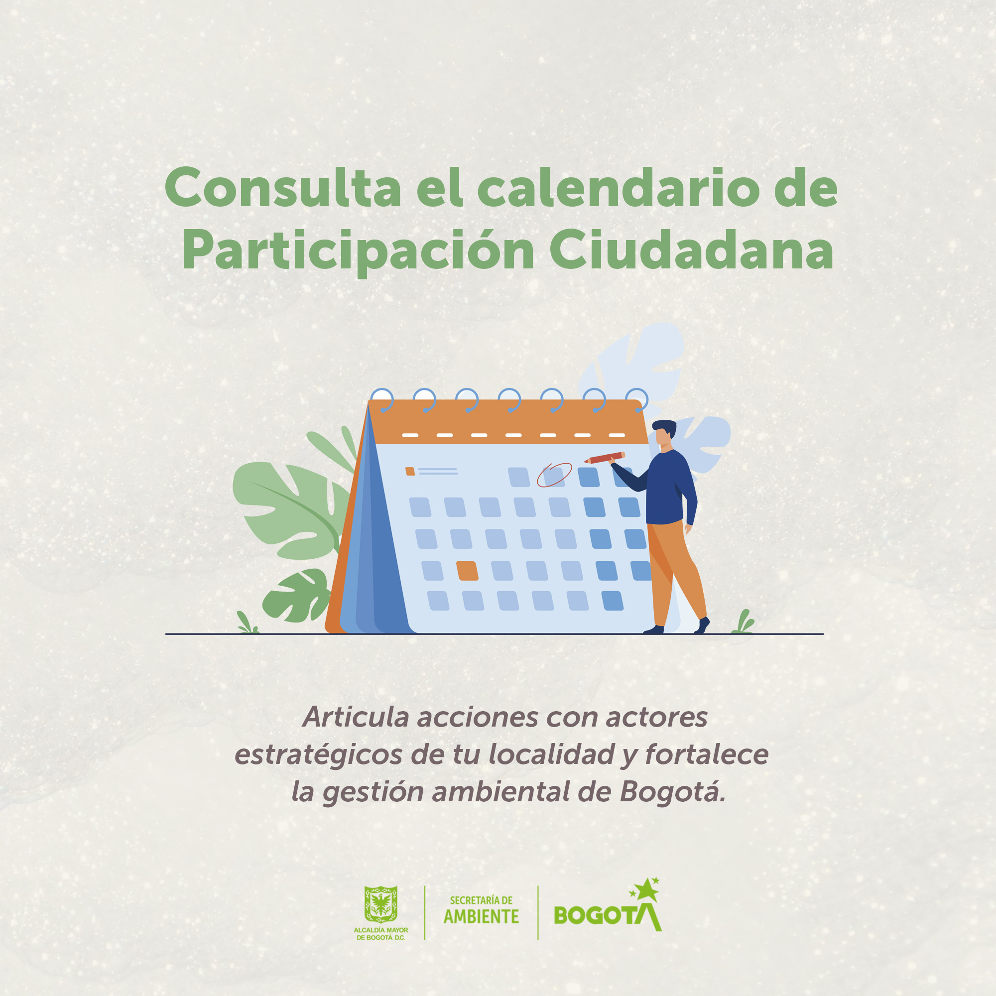 Calendario participación