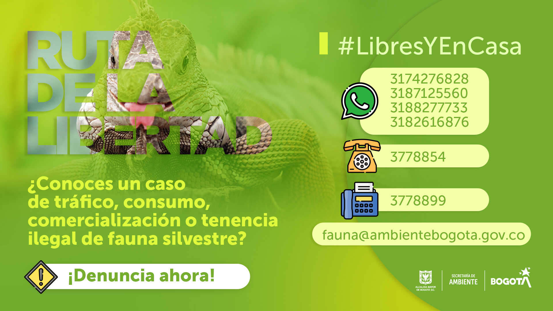 Casos de tráfico o comercialización de animales silvestres