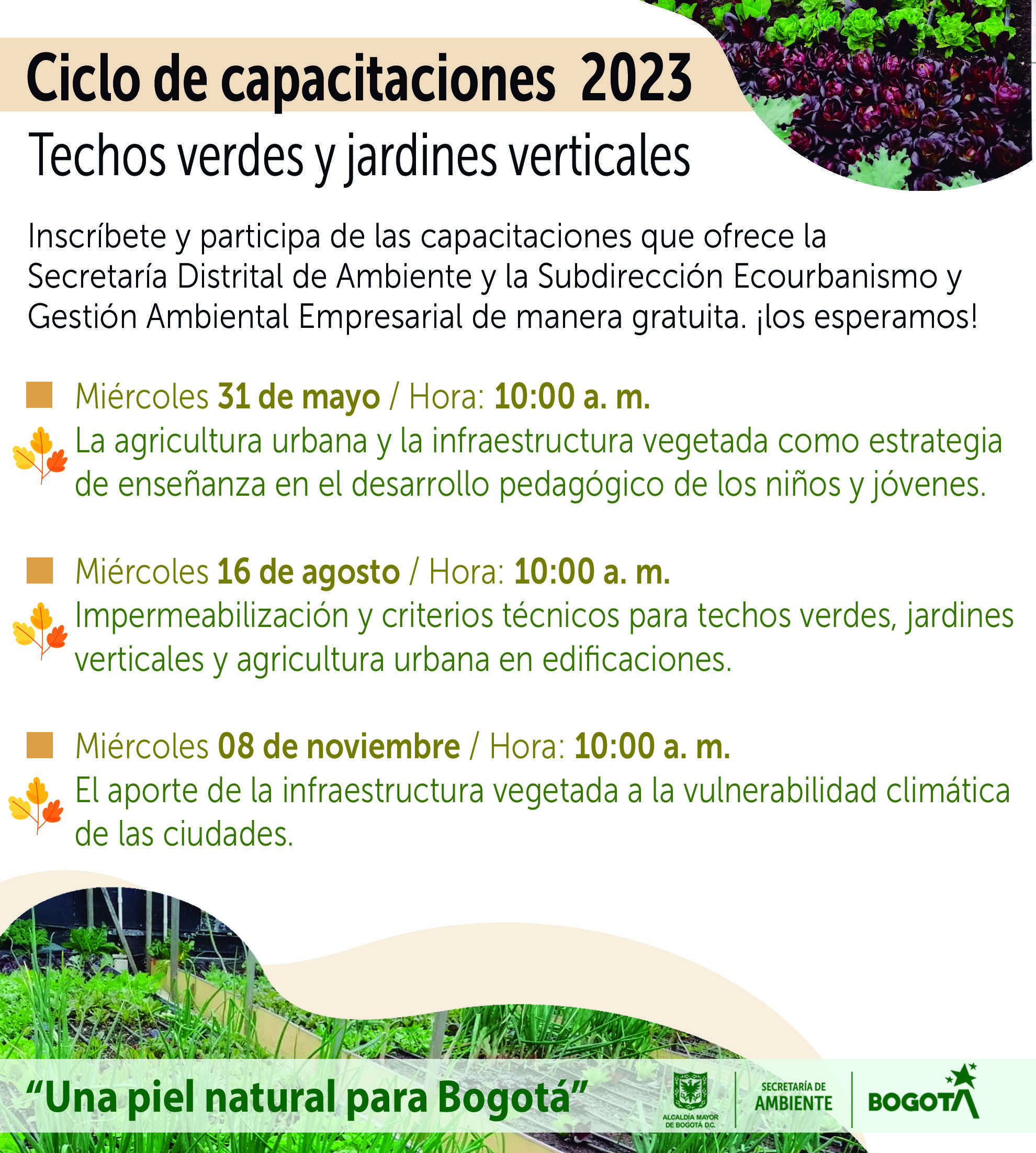 Capacitaciones de techos verdes y jardines verticales en 2023