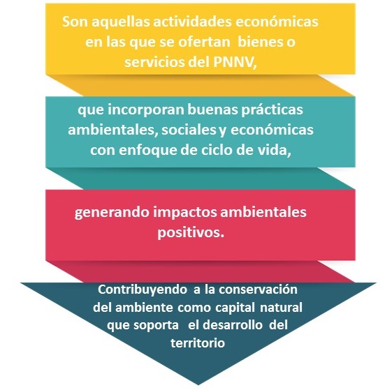 Gráfico obre qué son lo negocios verdes