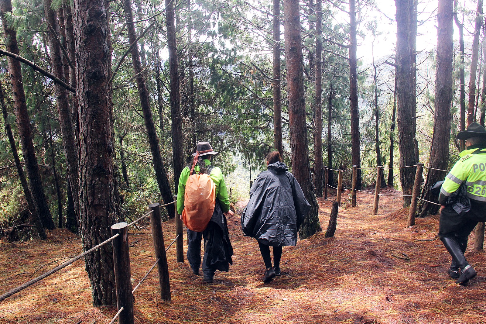 Distrito cierra senderos de los Cerros Orientales  como medida para prevenir incendios forestales