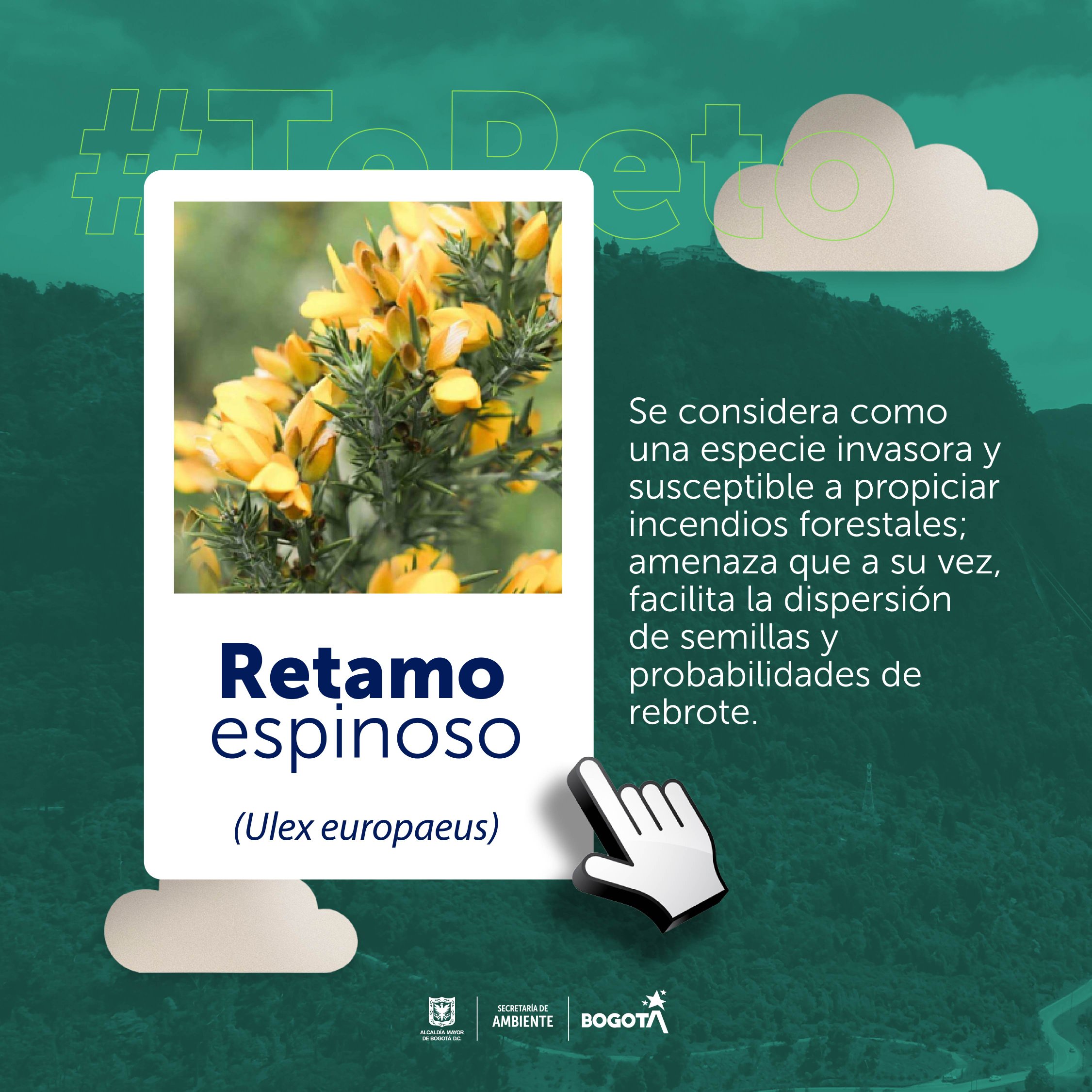 Reto 3