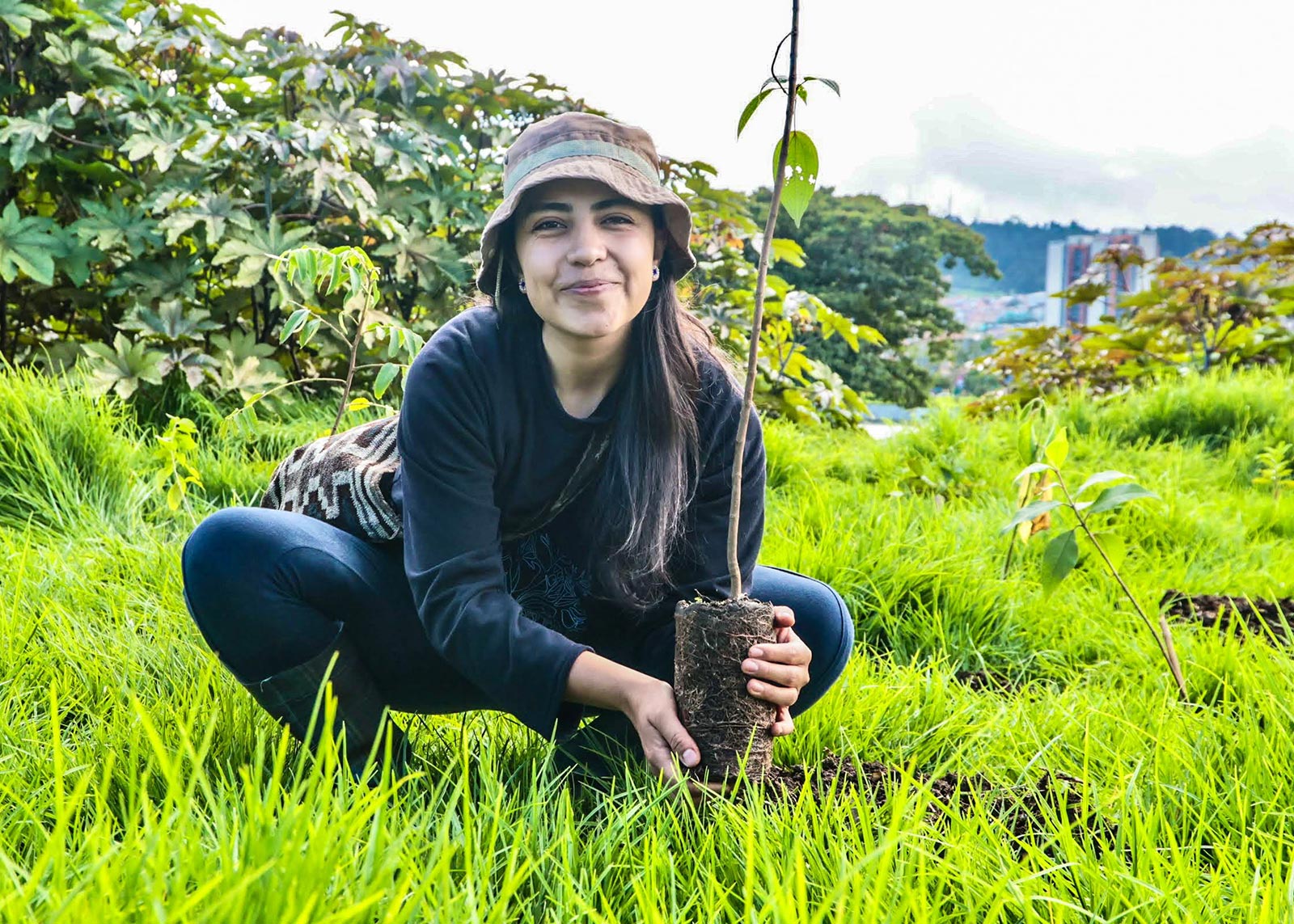 Plantaciones humedal Juan Amarillo