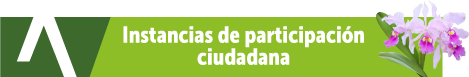 Instancias de participación ciudadana